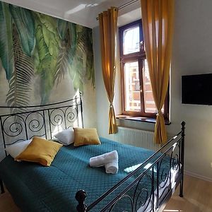 Studio met een Queen Size Bed